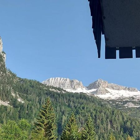 Appartamento Incantevole Con Ampio Balcone Sella Nevea Exteriör bild